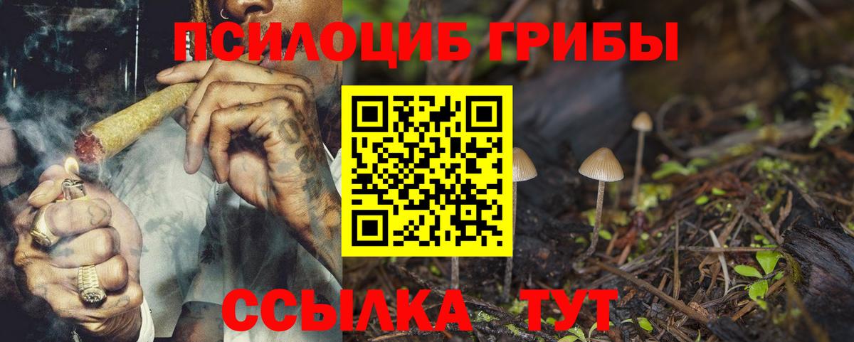 Галлюциногенные грибы Cubensis Джанкой